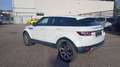 Land Rover Range Rover Evoque 2.2 TD4 Pure Weiß - thumbnail 7