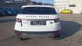 Land Rover Range Rover Evoque 2.2 TD4 Pure Weiß - thumbnail 6
