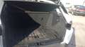 Land Rover Range Rover Evoque 2.2 TD4 Pure Weiß - thumbnail 15