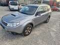 Subaru Forester 2.0D Comfort Klimatronik leider Servolenkung Gri - thumbnail 2
