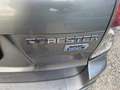 Subaru Forester 2.0D Comfort Klimatronik leider Servolenkung Gri - thumbnail 8