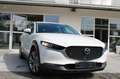 Mazda CX-3 0 Basis 2WD Weiß - thumbnail 1