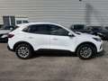 Ford Kuga 1.5 Ecoboost Titanium Weiß - thumbnail 4