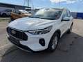 Ford Kuga 1.5 Ecoboost Titanium Weiß - thumbnail 3