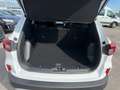 Ford Kuga 1.5 Ecoboost Titanium Weiß - thumbnail 8