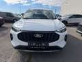Ford Kuga 1.5 Ecoboost Titanium Weiß - thumbnail 2