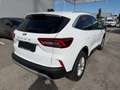 Ford Kuga 1.5 Ecoboost Titanium Weiß - thumbnail 5