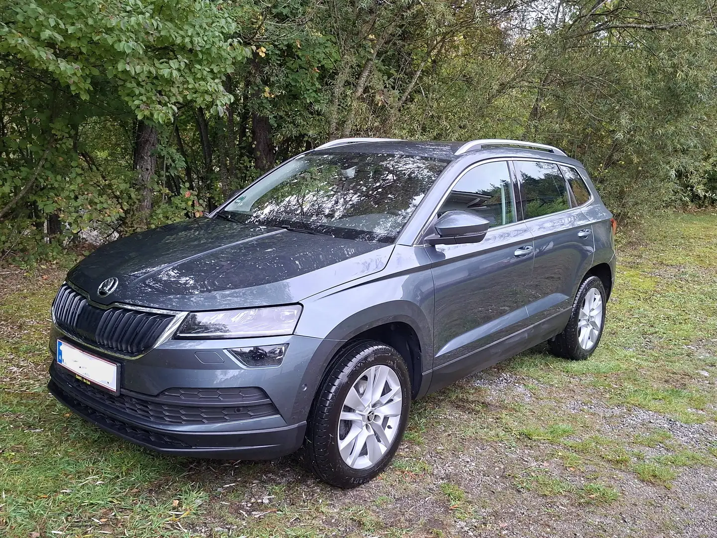 Skoda Karoq Karoq 1,5 TSI DSG Style Grau - 1
