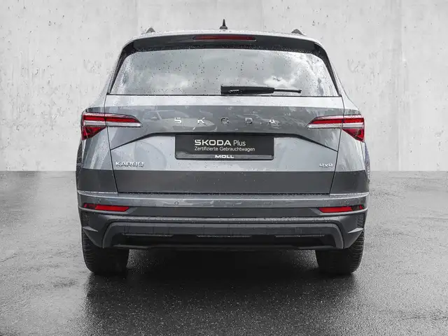 Skoda Karoq view 6