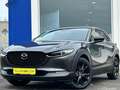 Mazda CX-30 E Skyactiv G / Nagisa Grau - thumbnail 3