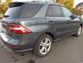 Mercedes-Benz ML 350 ML 350 CDI BlueTec Luft AHK S-Dach Standhzg. ACC Grau - thumbnail 6