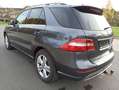Mercedes-Benz ML 350 ML 350 CDI BlueTec Luft AHK S-Dach Standhzg. ACC Grau - thumbnail 8