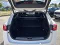 Kia Optima Sportswagon 2.0 T-GDI GT + AHK + Panoramadach Alb - thumbnail 16