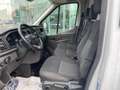 Ford Transit 350L2H2 2.0 TDCI 130CV MHEV VAN TREND Bianco - thumbnail 8