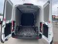 Ford Transit 350L2H2 2.0 TDCI 130CV MHEV VAN TREND Bianco - thumbnail 7