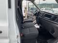 Ford Transit 350L2H2 2.0 TDCI 130CV MHEV VAN TREND Bianco - thumbnail 9