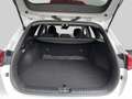 Kia Ceed SW / cee'd SW ceed SW 1,5 TGDI Silber 48V DCT Weiß - thumbnail 13