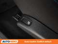 Dacia Lodgy 1.5 Blue dCi Celebration Blau - thumbnail 26