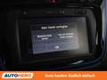 Dacia Lodgy 1.5 Blue dCi Celebration Blau - thumbnail 23