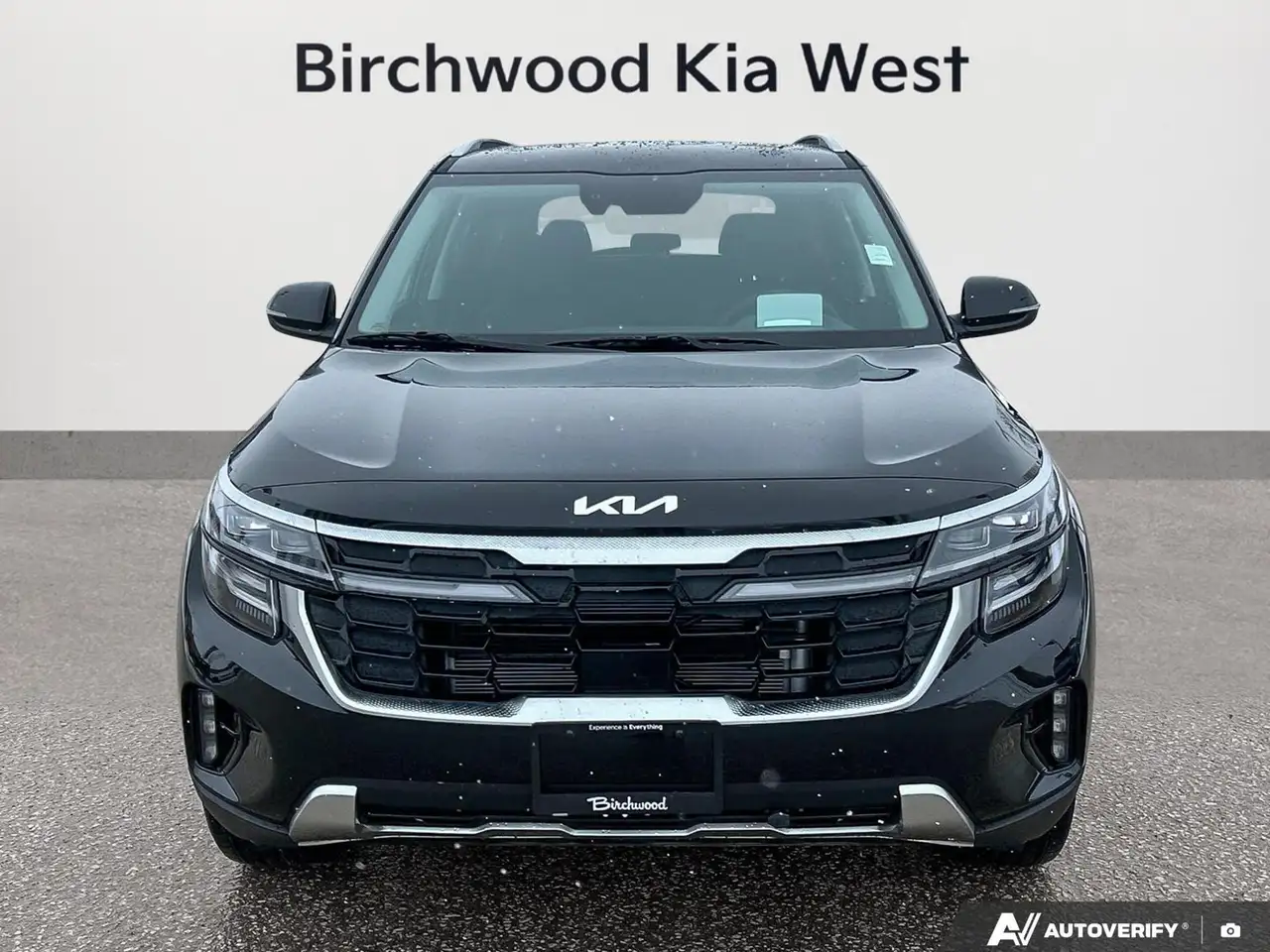 Kia Seltos снимка Kia Seltos