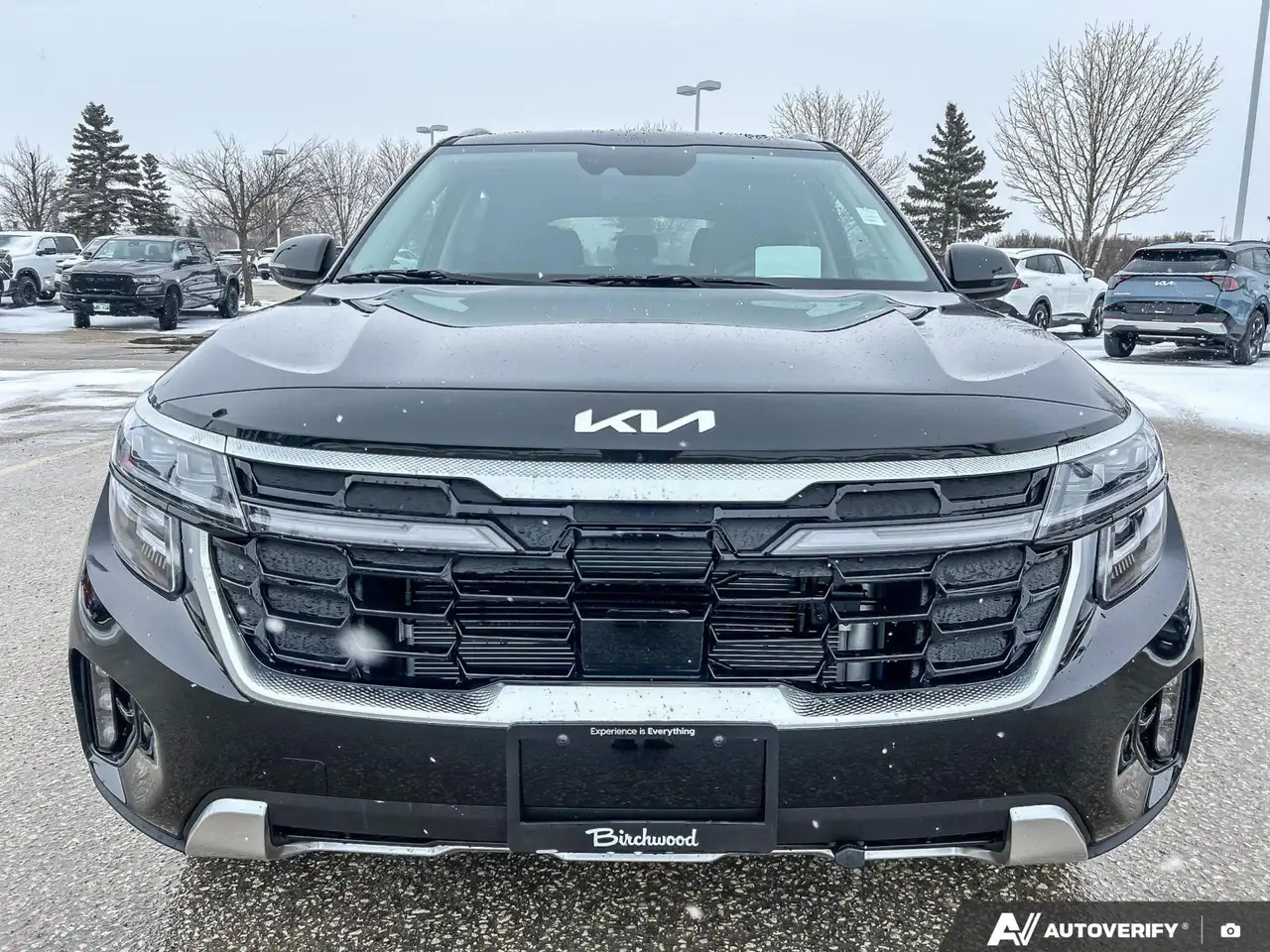Kia Seltos снимка Kia Seltos