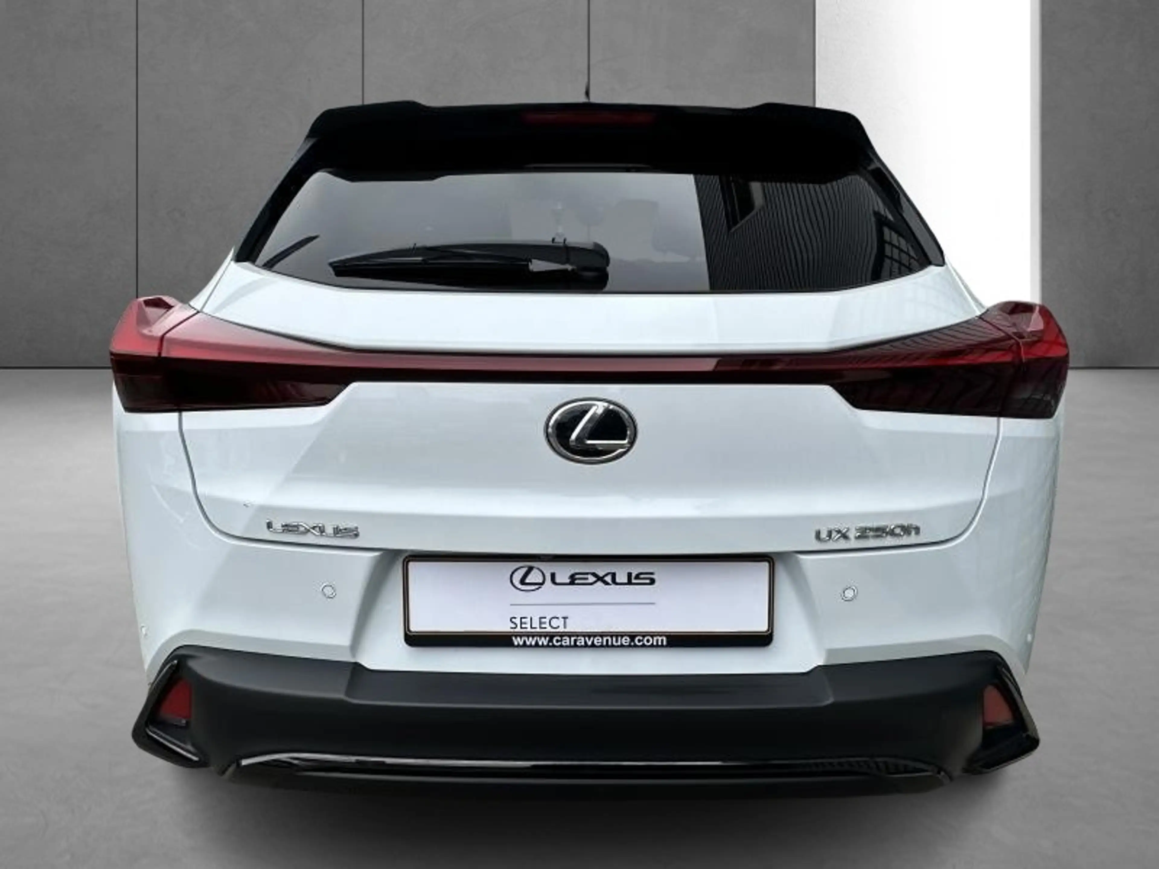 Lexus UX 250h F SPORT Design — photo 8