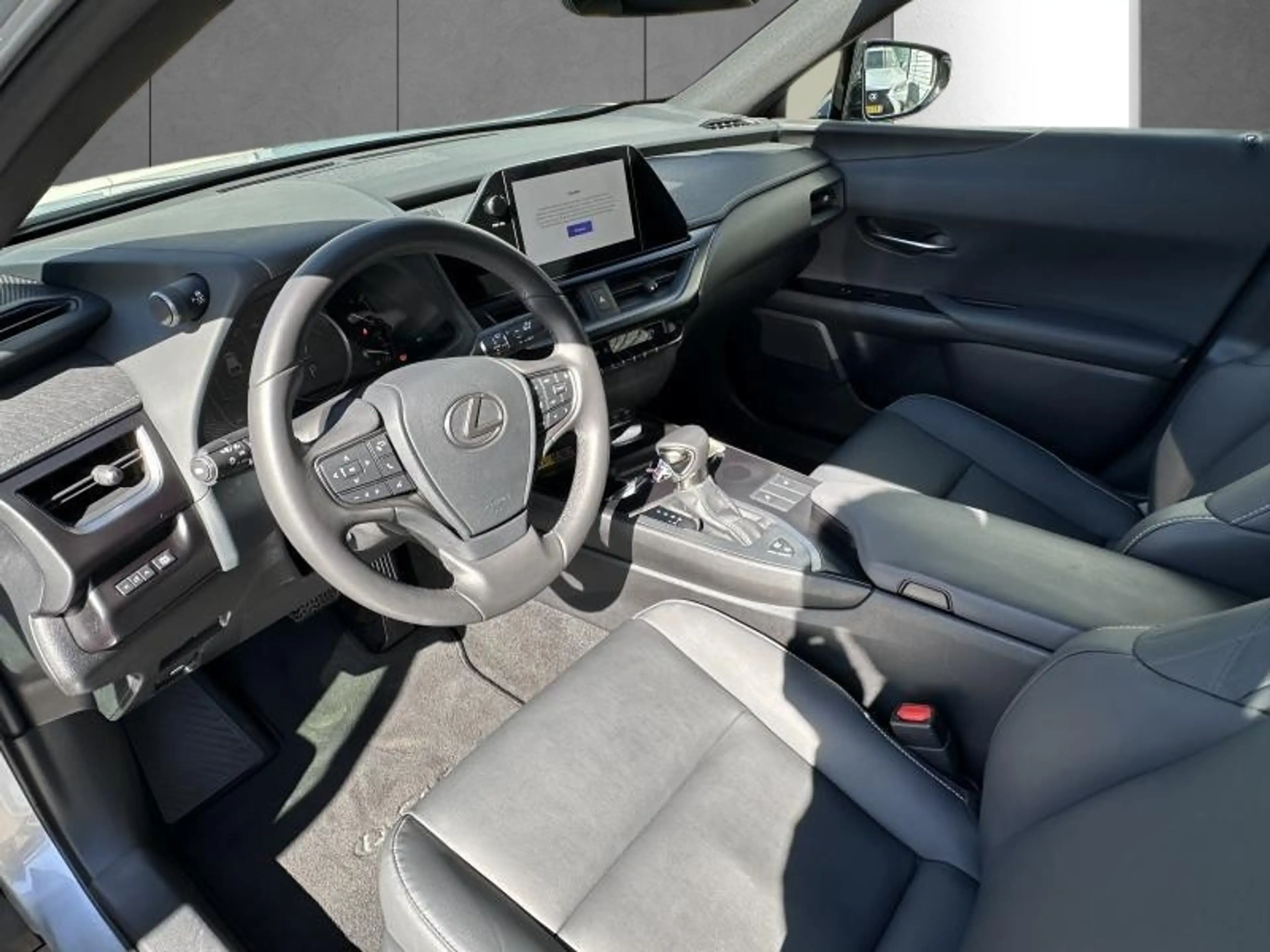 Lexus UX 250h F SPORT Design — photo 11