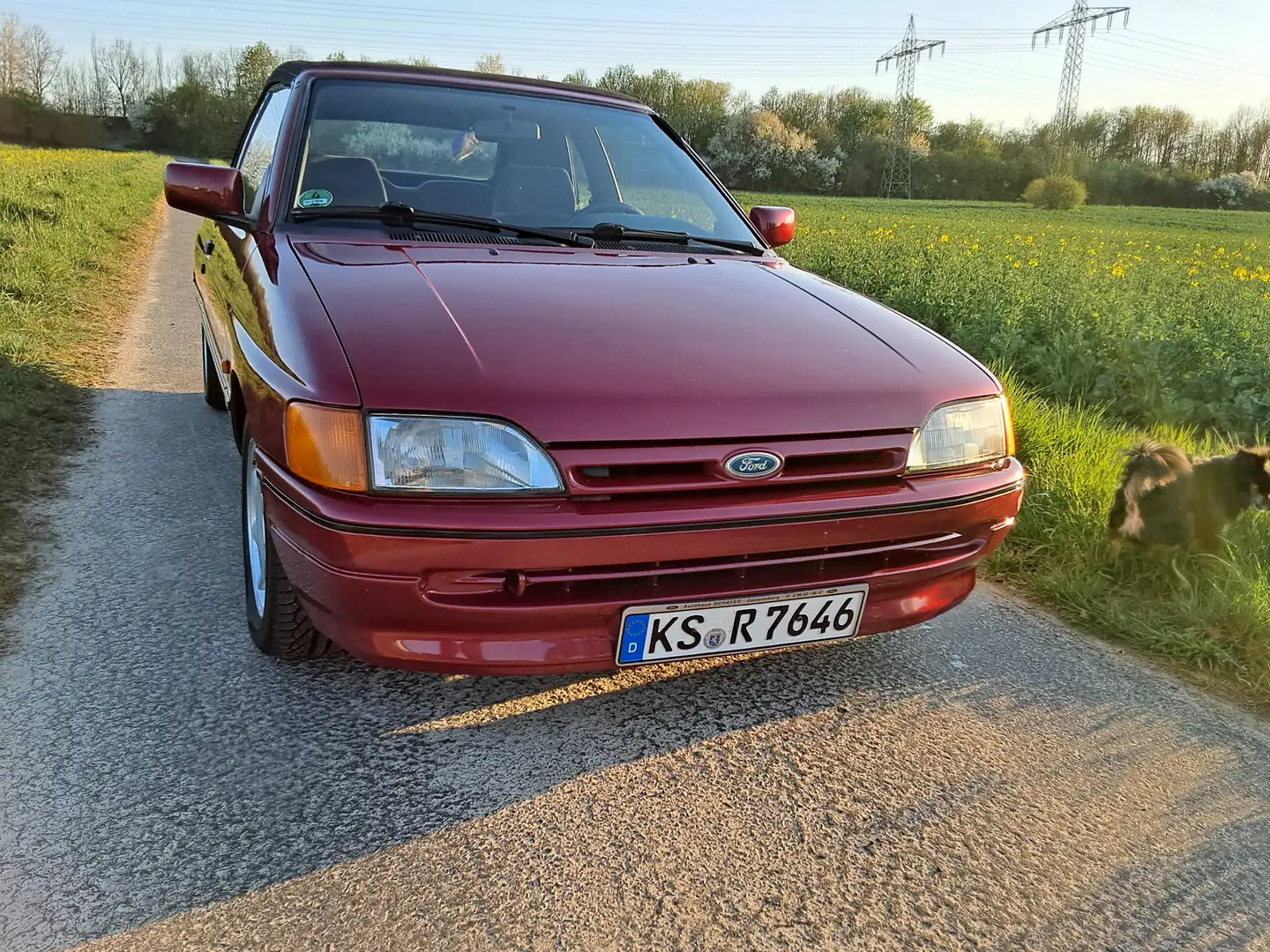 Ford Escort Escort Rojo - 1