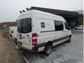 Mercedes-Benz Sprinter II 516 Kasten *Motorschaden*FESTPREIS Bianco - thumbnail 3