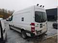 Mercedes-Benz Sprinter II 516 Kasten *Motorschaden*FESTPREIS Bianco - thumbnail 4