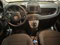 Fiat Panda Panda III 2021 Cross 1.0 firefly hybrid Cross s Rosso - thumbnail 6