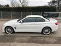 Alpina D4 Cabrio 3.0 Biturbo LED,Head,Harman,Stop & Go Wit - thumbnail 6
