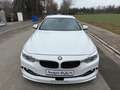 Alpina D4 Cabrio 3.0 Biturbo LED,Head,Harman,Stop & Go Wit - thumbnail 7