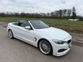 Alpina D4 Cabrio 3.0 Biturbo LED,Head,Harman,Stop & Go Wit - thumbnail 10