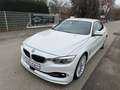 Alpina D4 Cabrio 3.0 Biturbo LED,Head,Harman,Stop & Go Wit - thumbnail 2