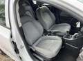 Chevrolet Aveo 1.2 LS,Airco,Cruise,5drs,1e eigenaar Blanc - thumbnail 25