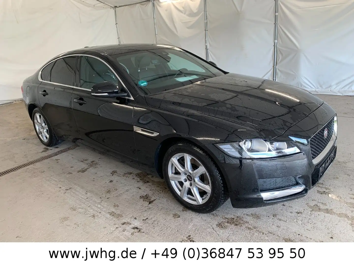 Jaguar XF Prestige Xenon 17" Kamera DAB Vollleder Navi Noir - 2