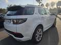 Land Rover Discovery Sport 2.0Si4 MHEV Standard AWD Auto Blanc - thumbnail 8