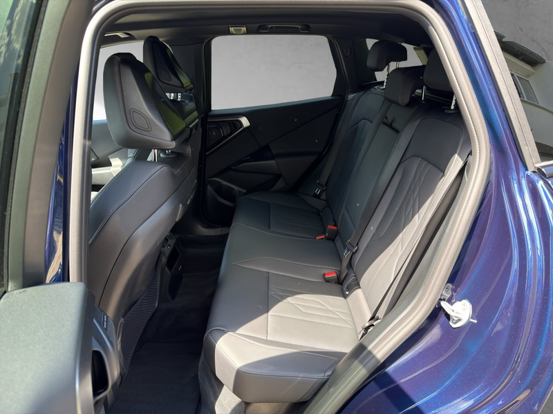 BMW X3 30e xDrive M Sport ACC 360° AHK H&K — photo 10