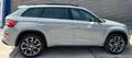 Skoda Kodiaq Kodiaq 2.0TDI RS 4x4 DSG 176kW RS Gris - thumbnail 1