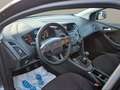 Ford Focus Focus Traveller 1,5 TDCi Trend Trend Grau - thumbnail 9