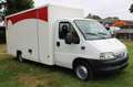 Fiat Ducato Koffer 244 Weiß - thumbnail 8