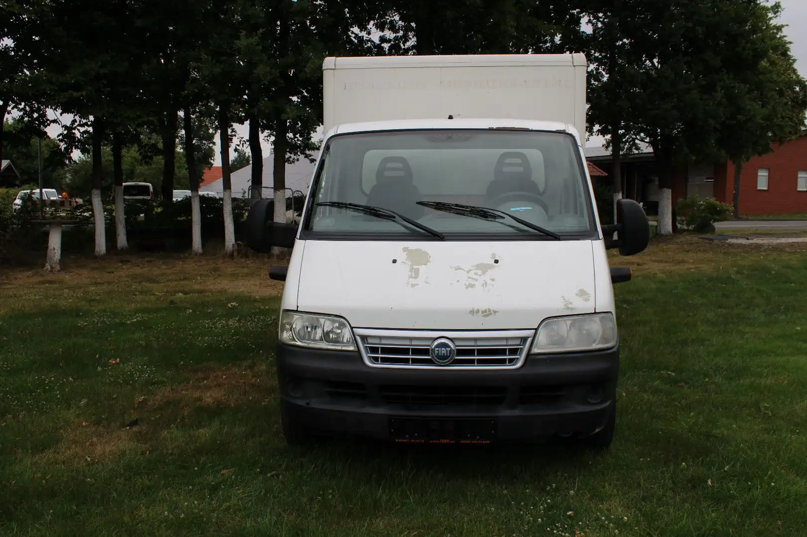 Fiat Ducato Koffer 244 Weiß - 2