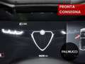 Alfa Romeo Tonale Tonale 1.6 diesel 130 CV TCT6 Super - thumbnail 7