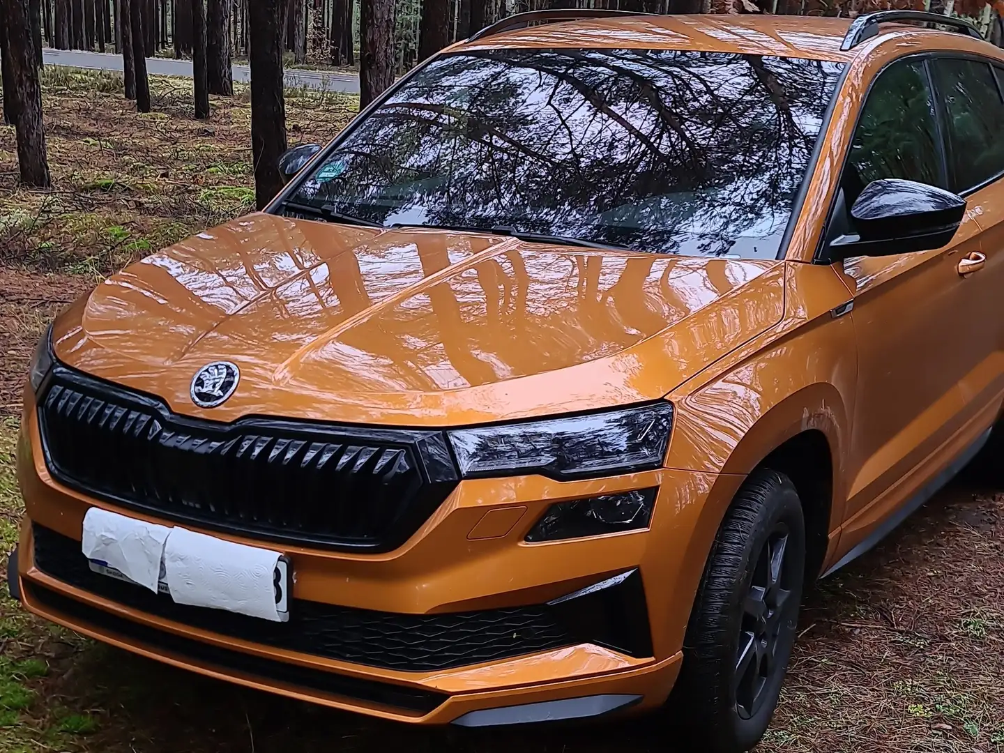 Skoda Karoq Karoq 2.0 TDI SCR 4x4 DSG Sportline Orange - 1