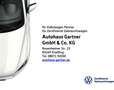Volkswagen Golf VIII ACTIVE 1.5 TSI NAVI APP-CONNECT REAR VIEW LE Weiß - thumbnail 21