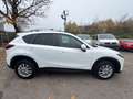 Mazda CX-5 Center-Line 2WD*AHK*NAVI* Weiß - thumbnail 6