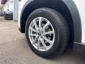 Mazda CX-5 Center-Line 2WD*AHK*NAVI* Weiß - thumbnail 9