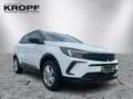 Opel Grandland 1.5 D Alcantara+LED+Navi+SHZ+Winterp. Bianco - thumbnail 7