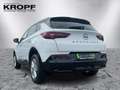 Opel Grandland 1.5 D Alcantara+LED+Navi+SHZ+Winterp. Weiß - thumbnail 5